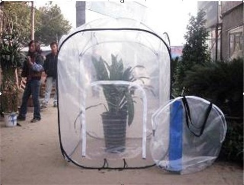 Mini Greenhouse Pop Up Transparent Pvc Grow Plant House Tent Mini Pop Up Greenhouse