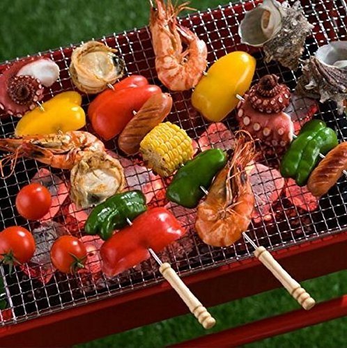 Wooden Handle Stainless Steel Metal Skewers Twisted Metal Kabab Sticks ,Kebab Skewers