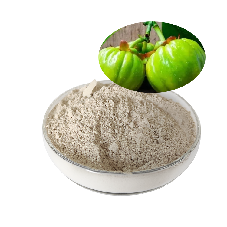 Wholesale price slimming products garcinia cambogia extract hca powder hydroxycitric acid