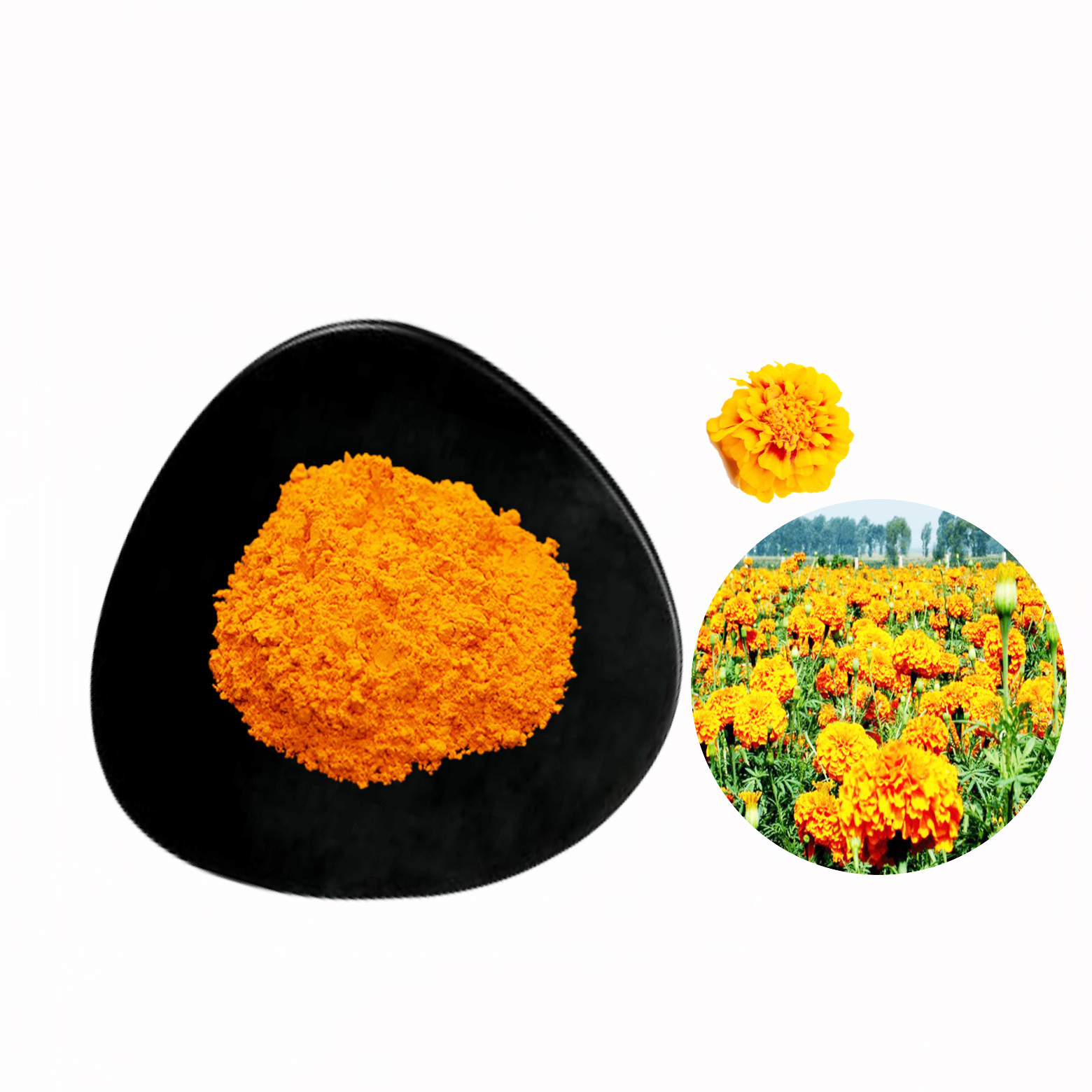 high quality lutein marigold extract zeaxanthin lutein powder