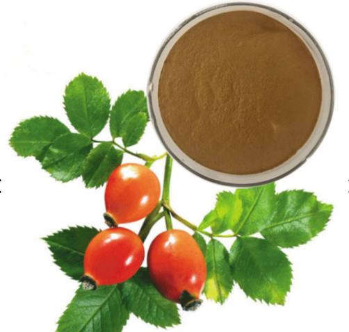 Rosehip Fruit Extract Rose Hip Extract Powder 5%~10% Vc Powder