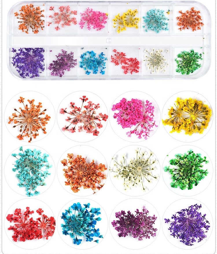 3D Dry Flowers Stickers Real Dried Flower Nail Art Decoration Tips DIY Manicure Tools with Box