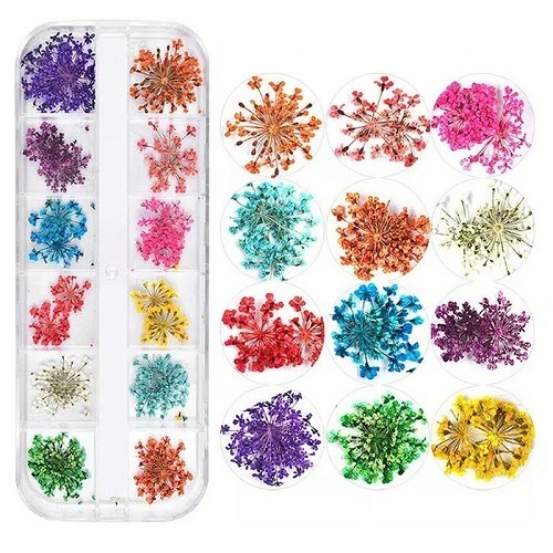 3D Dry Flowers Stickers Real Dried Flower Nail Art Decoration Tips DIY Manicure Tools with Box