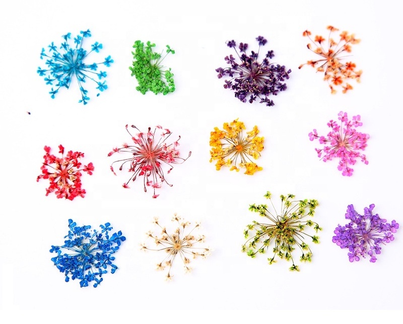 3D Dry Flowers Stickers Real Dried Flower Nail Art Decoration Tips DIY Manicure Tools with Box