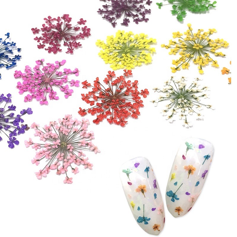 3D Dry Flowers Stickers Real Dried Flower Nail Art Decoration Tips DIY Manicure Tools with Box