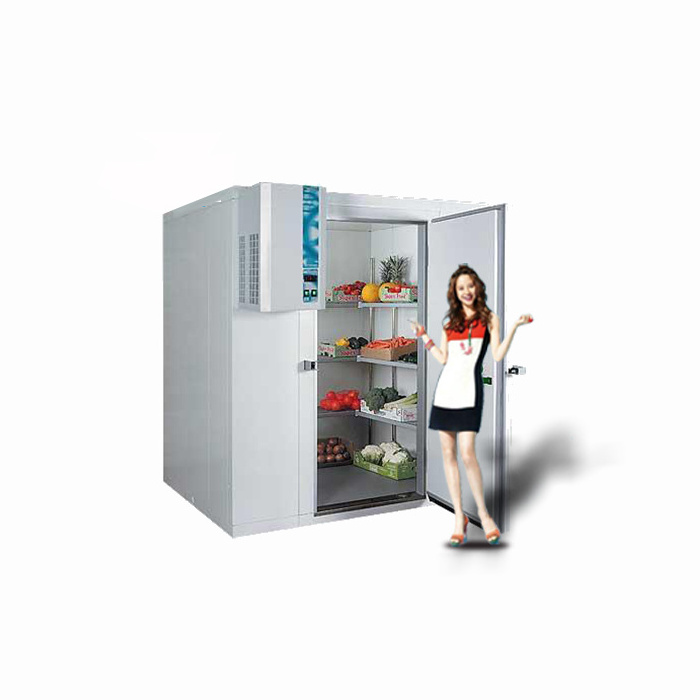 Cold Storage Cold Room Container Cold Room Manufacturer Freezer Condensing Unit Blast Freezer Machine Chambre Froide Poisson