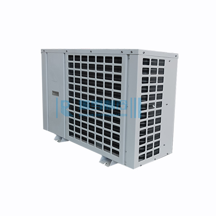 Small Size Mini compressor R404A R134A Freezer 2 hp Refrigeration Mini Condensing Unit