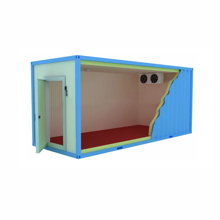 Cold Storage Cold Room Container Cold Room Manufacturer Freezer Condensing Unit Blast Freezer Machine Chambre Froide Poisson