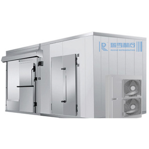 Ruixue Commercial Air Blast Walk In Freezer Cold Room Air Cooled Freezer Condensing Unit Cold Storage Pu Panels With Hinged Door