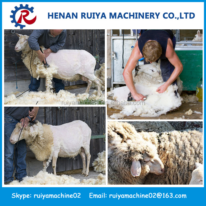 Good quality sheep wool cutting machine