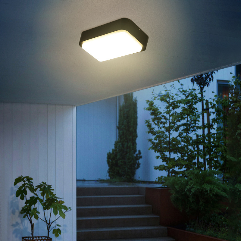 20w surface mounted led wall light outdoor led wall lamp outdoor ceiling light with beam angle 115 degree