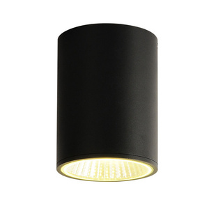 Modern outdoor IP65 cylinder led ceiling light