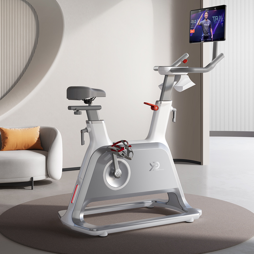 YPOO profesional  home exercise air magnetic spin bike gym equipment fitness indoor spinning cycling bike with YPOOFIT APP