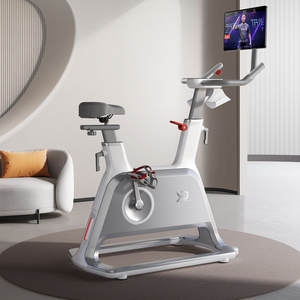 YPOO profesional  home exercise air magnetic spin bike gym equipment fitness indoor spinning cycling bike with YPOOFIT APP