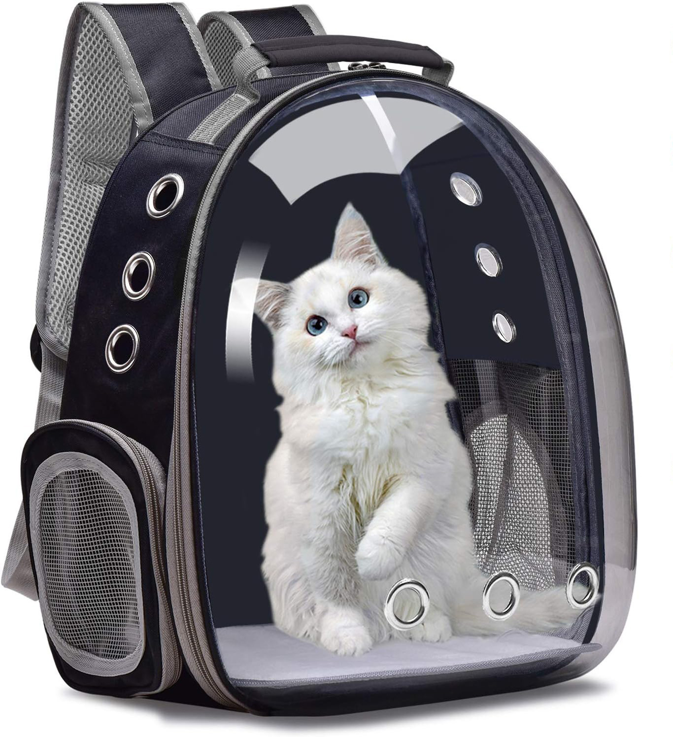 Cat Travel Carry Bag Bubble Cat Backpack Carrier Pet Carrier Bag Transparent for Cat Breathable Mesh Customizable pet backpack