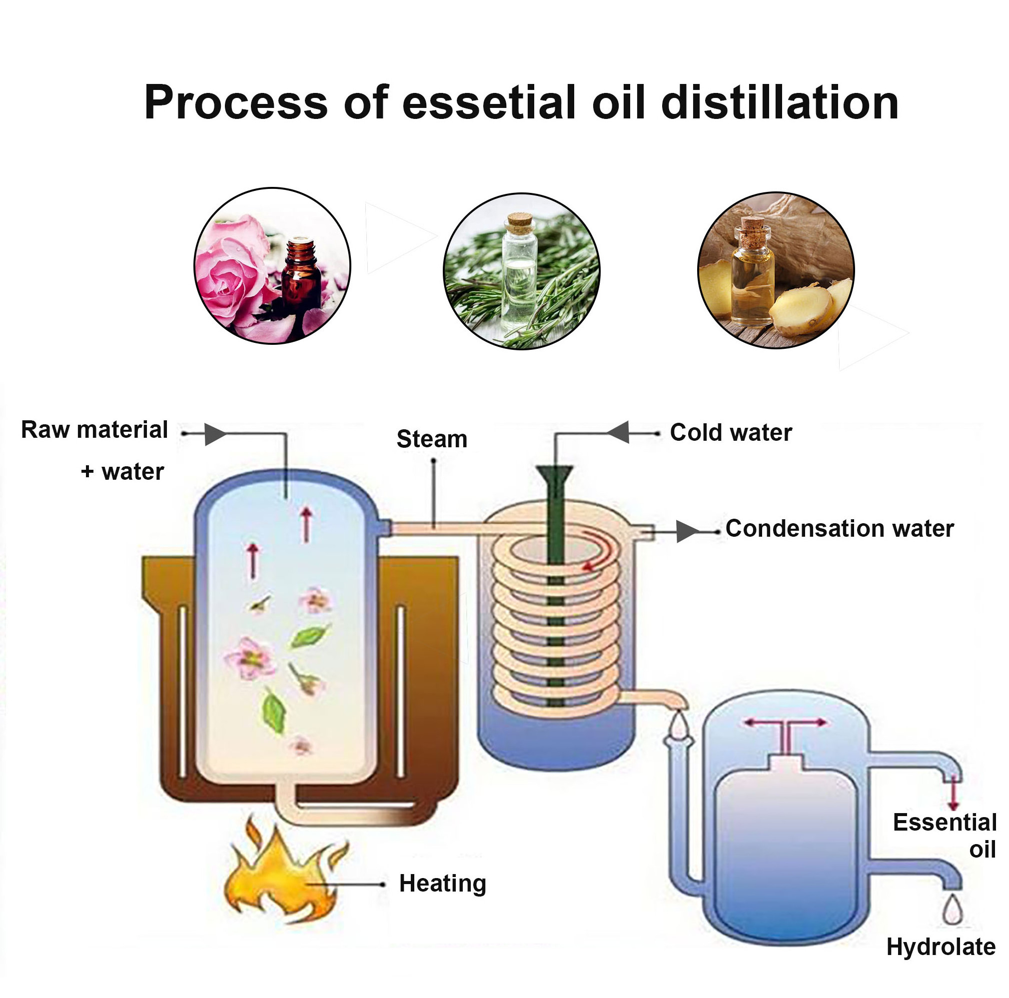 Rose Essential Oil Extractor/Vacuum Distillation Equipment/Ethanol Extraction Machine