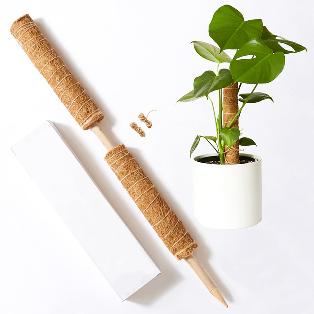 43cm Stackable Moss Pole Eco Friendly Wooden Coconut Stick Coco Pole for  Indoor Outdoor Climbing Plants