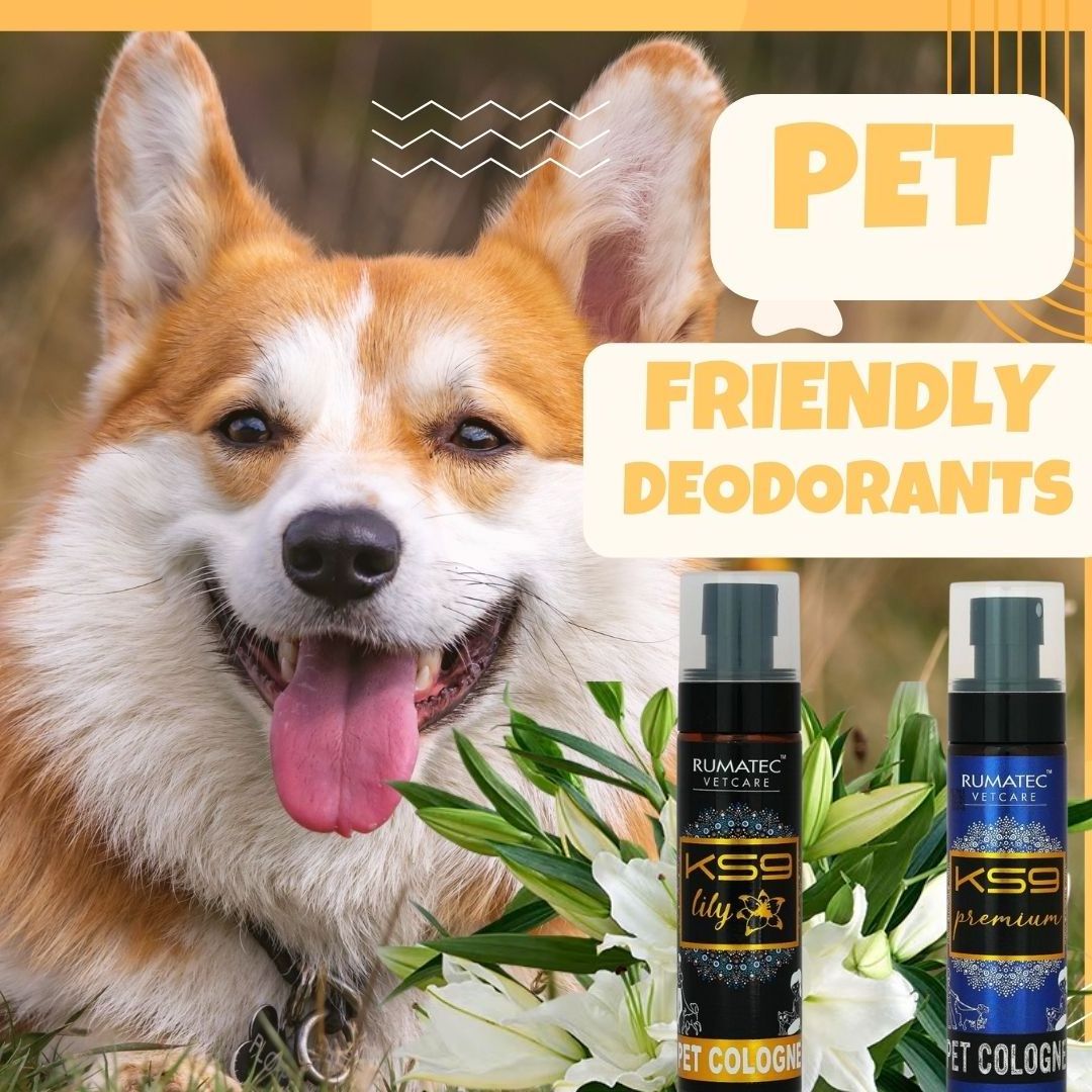 Wholesale Factory Made Pet Odor Eliminator Cleaning Deodorant Spray Perfume Natural Pet Odor Eliminator For Strong Odor