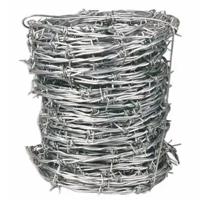 Outstanding Supplier Production Farm Fence Iron Wire Electro Galvanized Barbed Wire with Reliable Price