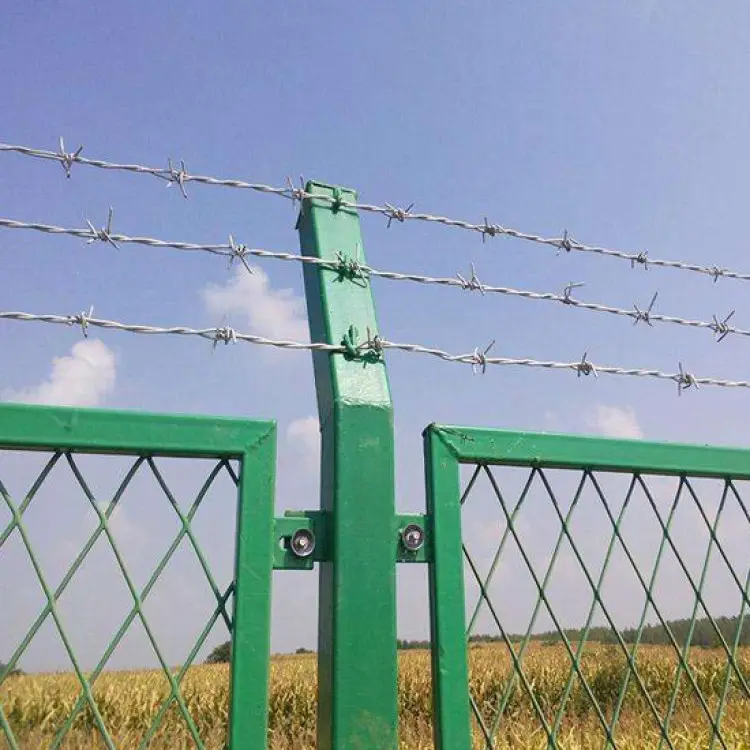 Building Material Supplier Sale Iron Wire Protect Wire Hot Dipped /Electro Galvanized Single Barbed Wire