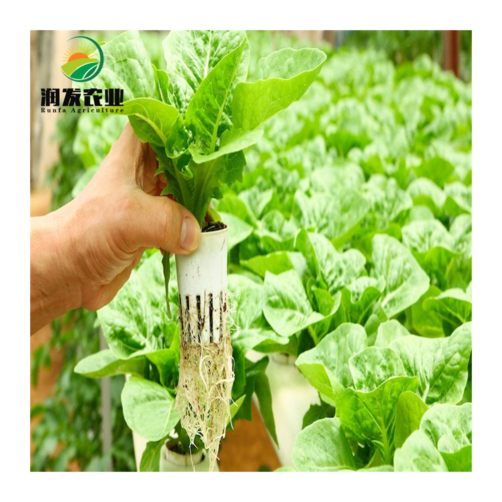 Agricultural Multi-span Film Greenhouse Complete Hydroponic Nft Growing Container Vertical Growing System