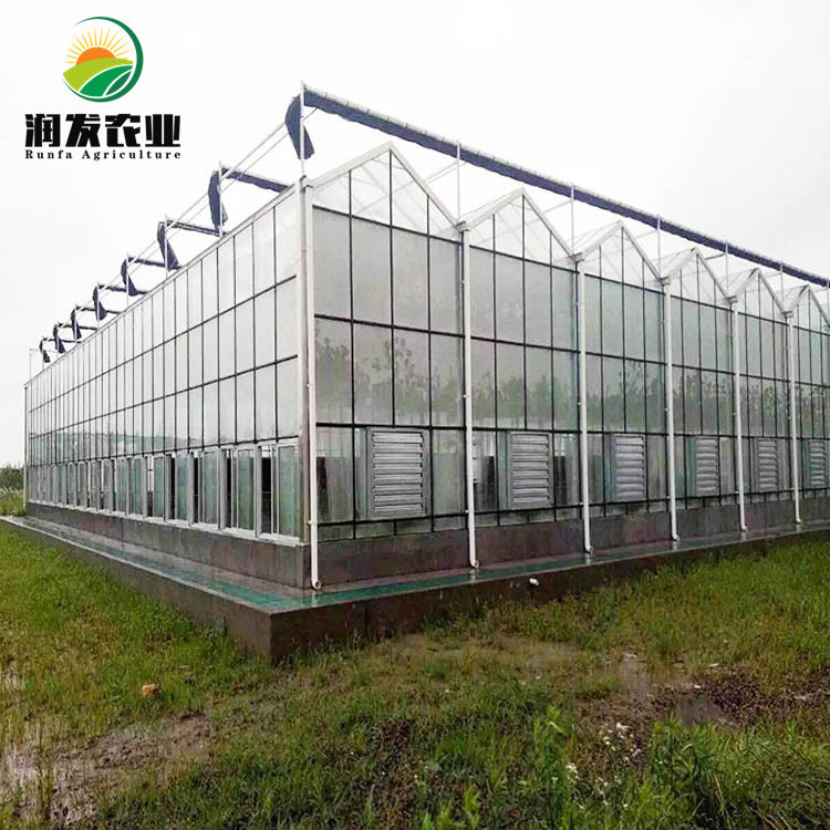 High Efficient Venlo Tempered Glass/Hollow Glass/Diffusing Glass Greenhouse Multi Span Commercial Greenhouse