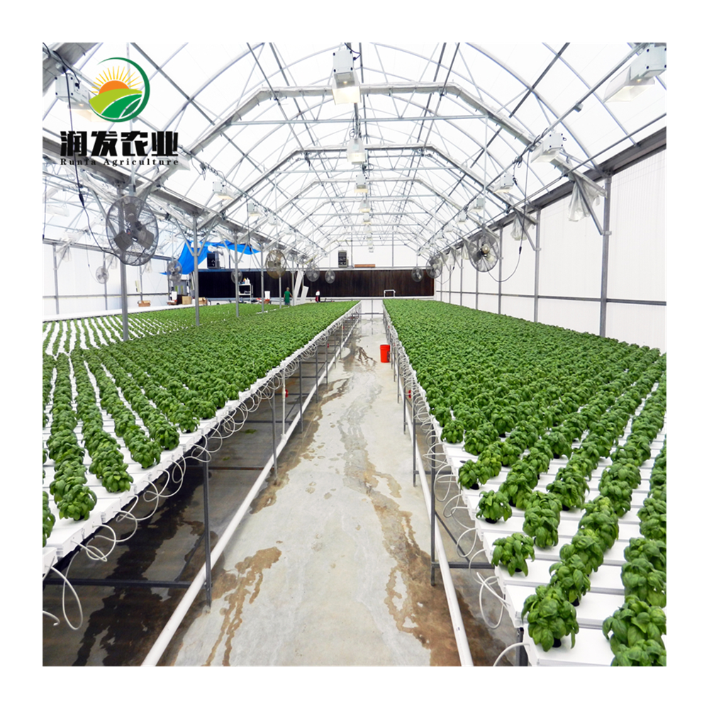 Agricultural Multi-span Film Greenhouse Complete Hydroponic Nft Growing Container Vertical Growing System