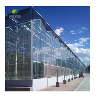 Intelligent Glass Greenhouse Equipped With Hydroponic Net Pot And Shipping Container Grow Room