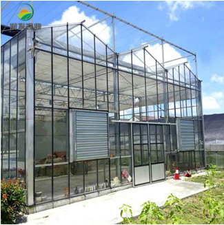 Intelligent Glass Greenhouse Equipped With Hydroponic Net Pot And Shipping Container Grow Room