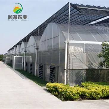 Climate Control Co2 Generator For Greenhouse Covering Material Is Pofilm With Commercial Hydroponics System