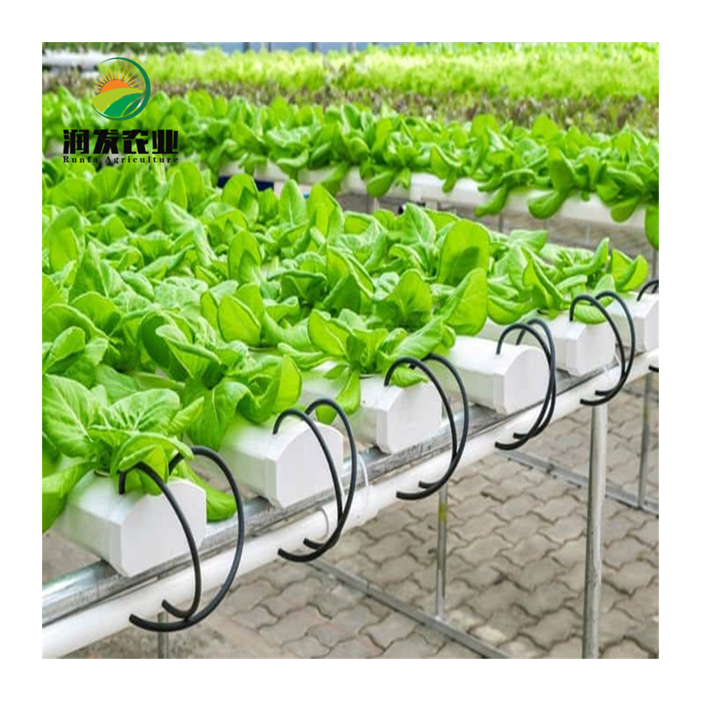 Agricultural Multi-span Film Greenhouse Complete Hydroponic Nft Growing Container Vertical Growing System