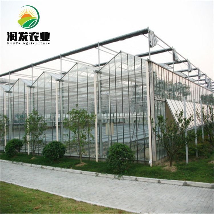 High Efficient Venlo Tempered Glass/Hollow Glass/Diffusing Glass Greenhouse Multi Span Commercial Greenhouse