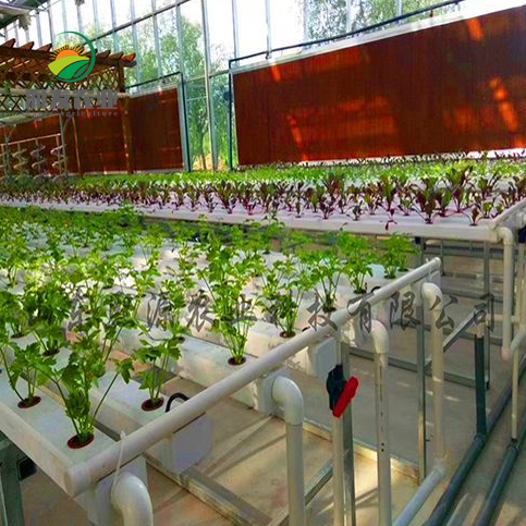 Commercial Hydroponic Growing Systems NFT With Agriculture Equipment And Tools