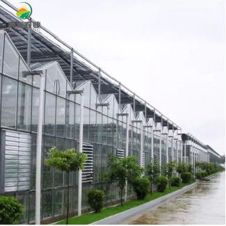 Intelligent Glass Greenhouse Equipped With Hydroponic Net Pot And Shipping Container Grow Room