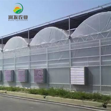 Climate Control Co2 Generator For Greenhouse Covering Material Is Pofilm With Commercial Hydroponics System