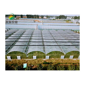 Climate Control Co2 Generator For Greenhouse Covering Material Is Pofilm With Commercial Hydroponics System