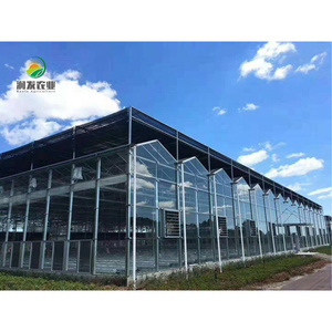 High Efficient Venlo Tempered Glass/Hollow Glass/Diffusing Glass Greenhouse Multi Span Commercial Greenhouse