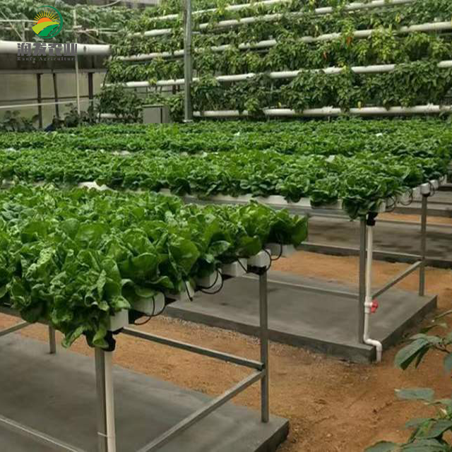 Commercial Hydroponic Growing Systems NFT With Agriculture Equipment And Tools