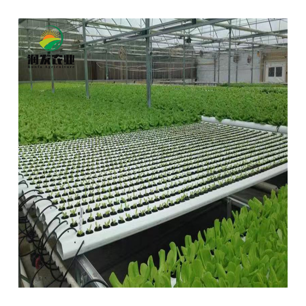 Agricultural Multi-span Film Greenhouse Complete Hydroponic Nft Growing Container Vertical Growing System