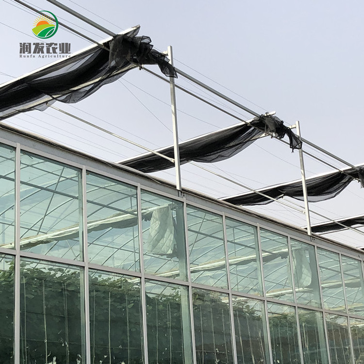 High Efficient Venlo Tempered Glass/Hollow Glass/Diffusing Glass Greenhouse Multi Span Commercial Greenhouse