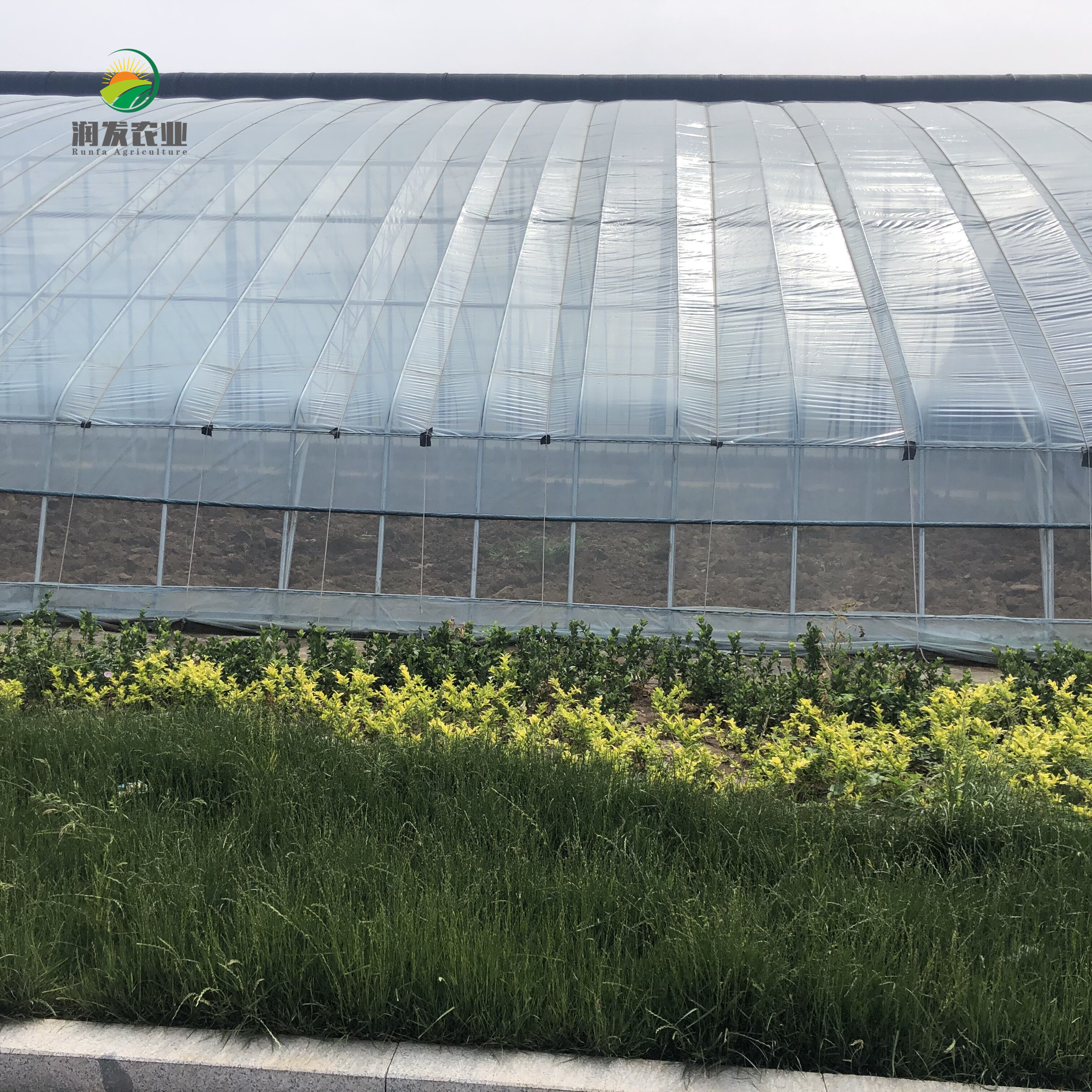 Single-Span Film Greenhouse Equipped Fertigation Doser With Retractable Roof Systems Greenhouses Selling