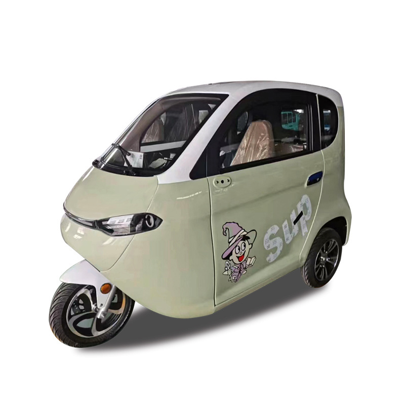 3 Wheel Mini Car Electric Bike Triciclo Electrico Adulto