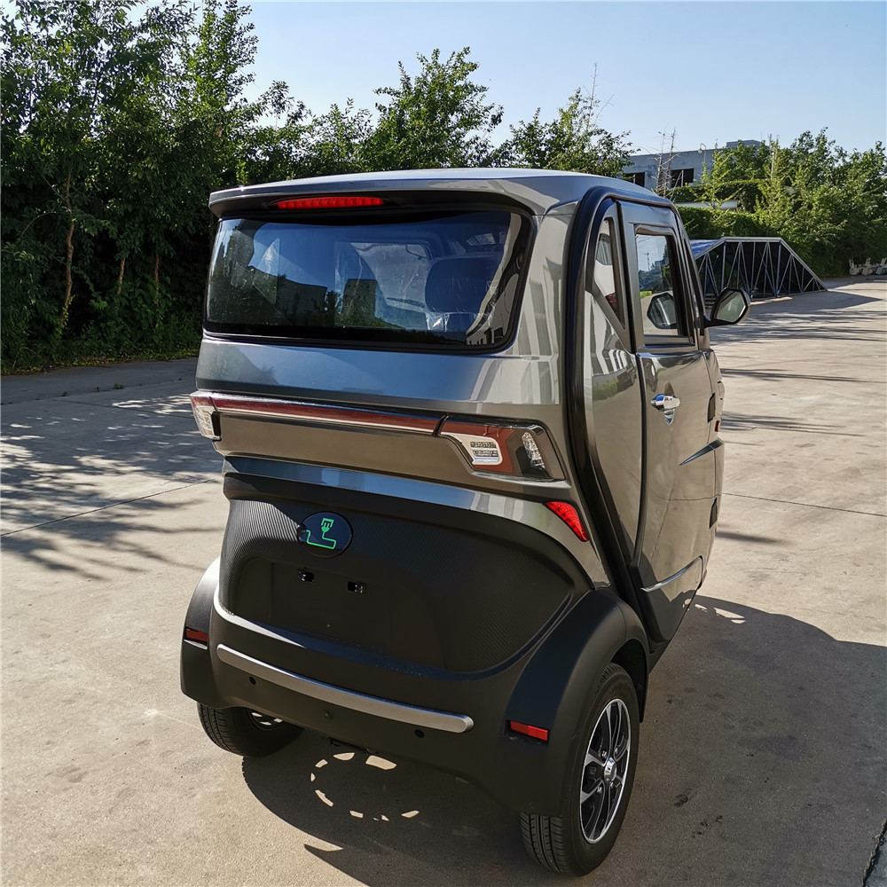 EEC mini electric car 2 seater battery vehicles cabin mobility scooter