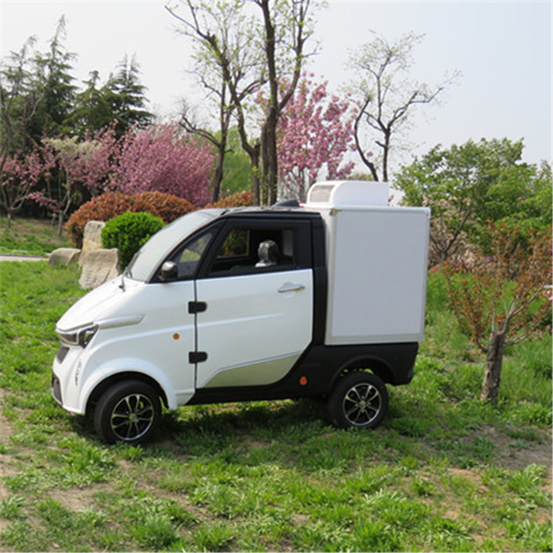 Small electric car L6e electric mini van with cooling cargo box for food delivery