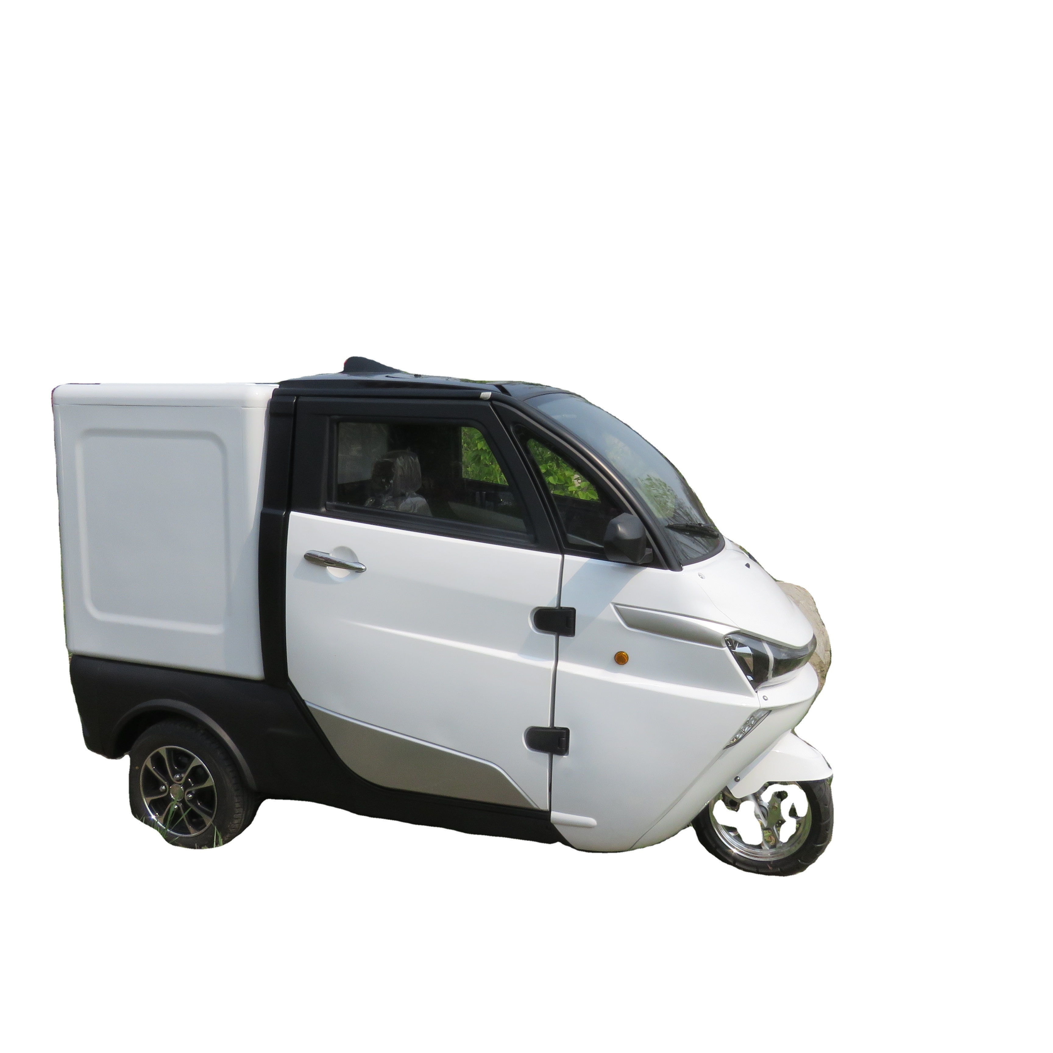 EEC Approval 3 Wheel Cabin Scooter Tricycle Electric Motorcycle Cargo Logistics  Van