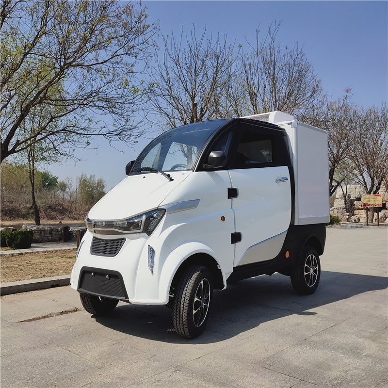 Small electric car L6e electric mini van with cooling cargo box for food delivery