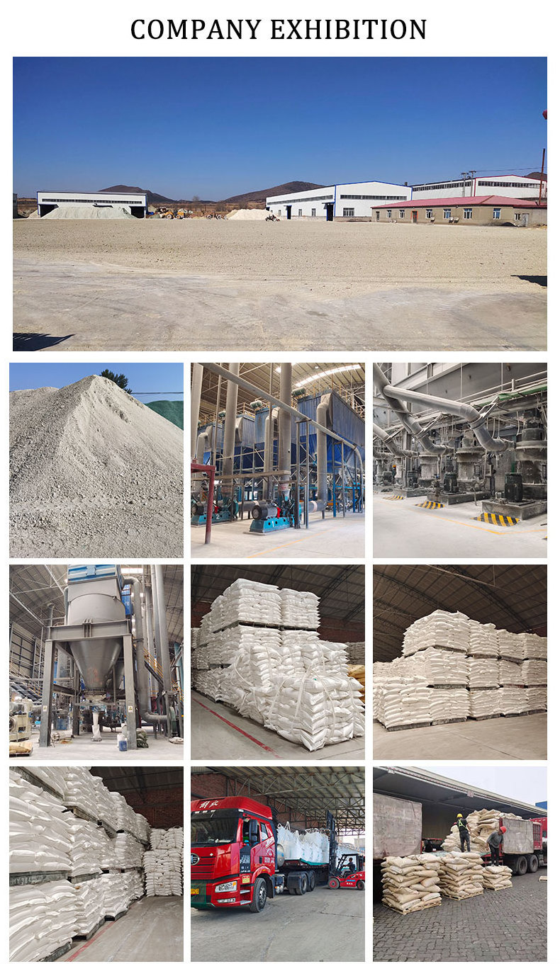 China Factory Supply High Viscosity Bentonite Clay Sodium Bentonite For Iron Casting CAS 1302-78-9