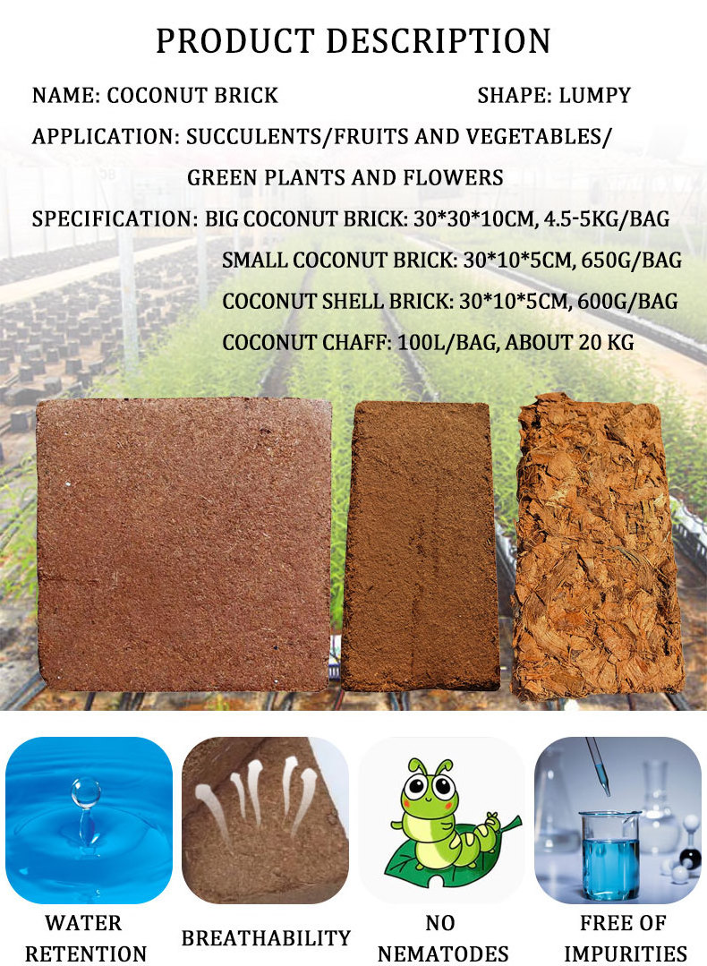 Imported Coconut Shell Husk Chips Block Bran Bricks 650g Compressed Coco Coir Fiber Soil Blocks Peat Brick Price For Plant