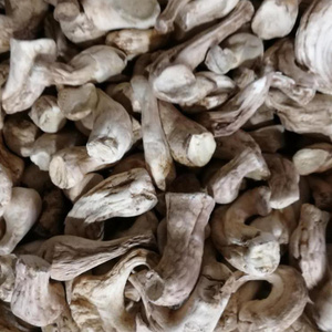 Factory Price High Quality 100% Fresh Cultivated Raw Brown Dried Mushroom/Shiitake Fungus