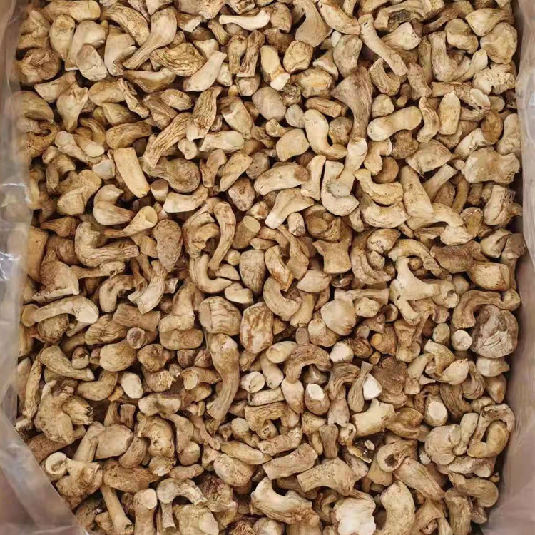 Factory Price High Quality 100% Fresh Cultivated Raw Brown Dried Mushroom/Shiitake Fungus